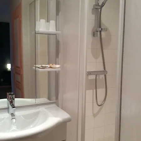 Hotel Les Fleurs Bleues 3*