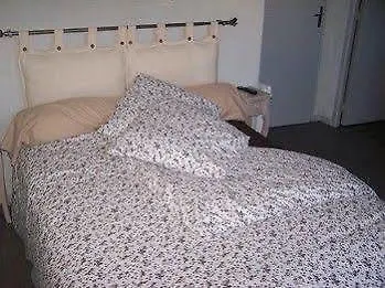 Les Fleurs Bleues 3* Ganges